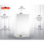 菲斯曼壁挂炉：高效节能，温暖生活新选择