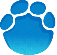 业主群直播纵火烧房：一场悲剧引发的社区安全警钟